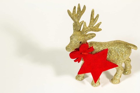 Golden reindeer on a white background. Christmas card