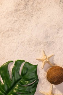Green leaf with starfish beach