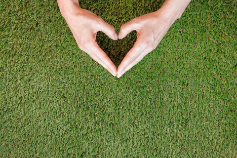 Person making heart his hands grass