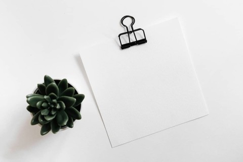 Cactus pot plant with white blank paper with paperclip white background