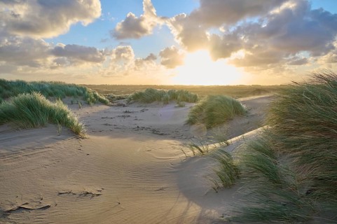 Sand dune