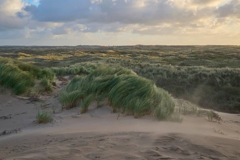 Sand dune