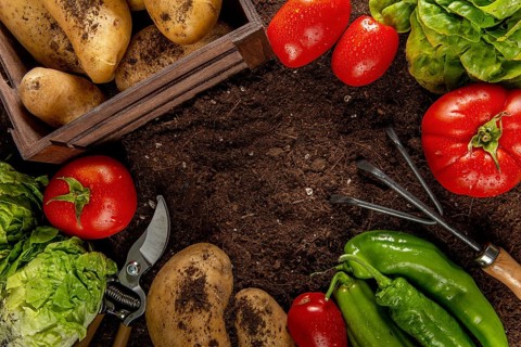 Top view tomatoes with potatoes veggies