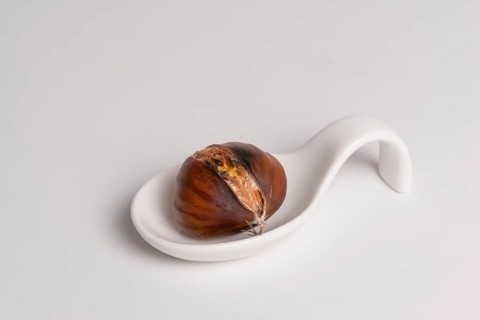 Seasonal chestnuts harvested from the field on a white background
