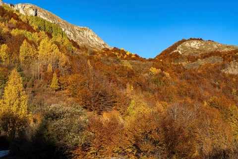Autumn mountain landscape near Durmitor National Park