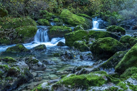 Waterfall on the Crnojevic River near Rijeka Crnojevica