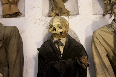 Skull