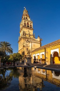Orange Courtyard and Bell Tower of the Mezquita