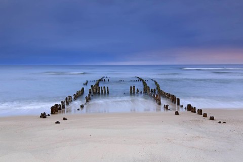 Remnant of old weathered wooden groyne