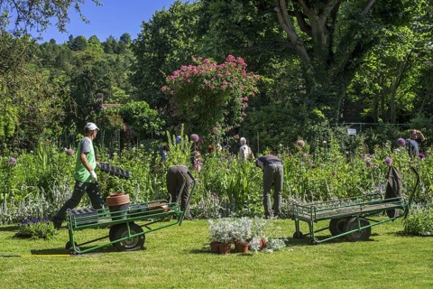 Gardeners