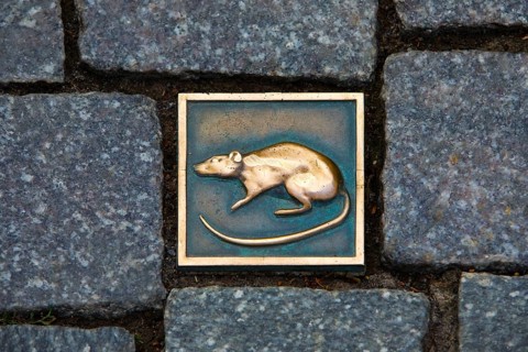 Rat Stone