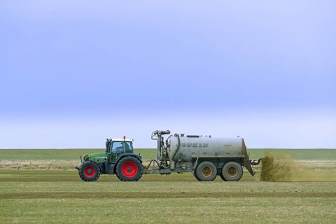 Farmer in Fendt 818 tractor with muck spreader distributing
