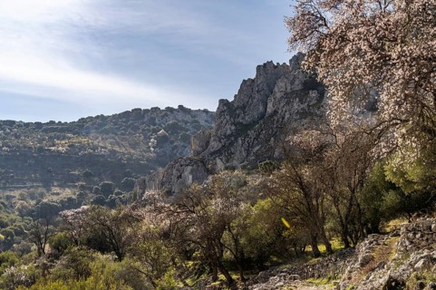 Landscape along the hiking trail of the Rio Bailon near Zuheros