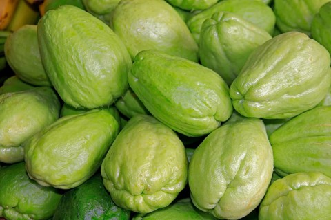 Chayote