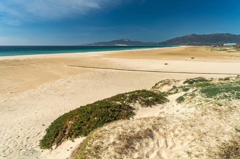 Playa de Los Lances beach in Tarifa