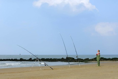Sea angler in waders with many fishing rods fishing from beach near breakwater along the North Sea coast