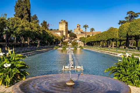 Water basins