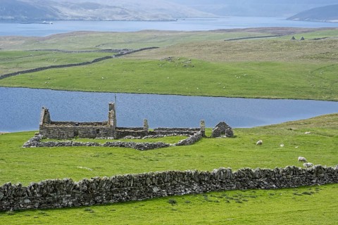 Remains of croft