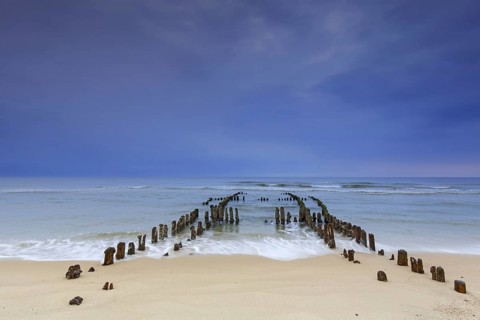 Remnant of old weathered wooden groyne