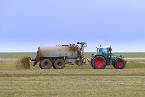 Farmer in Fendt 818 tractor with muck spreader distributing