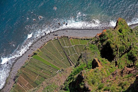 Blick vom Aussichtspunkt Cabo Girao