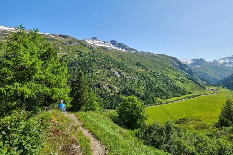 Hiker enjoying the view