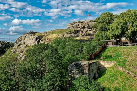 Ruin of Regenstein Castle