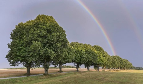 Double rainbow and silver linden