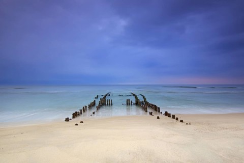 Remnant of old weathered wooden groyne