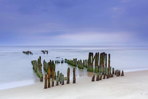 Remnant of old weathered wooden groyne