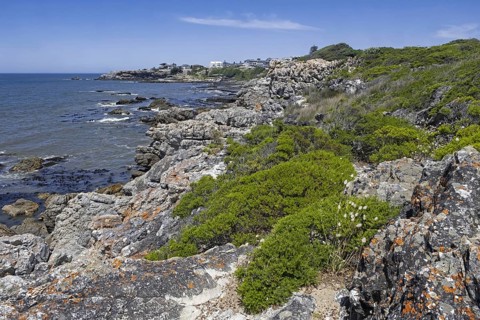 View over the Atlantic Ocean and rocky coastline along Cliff Path