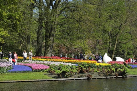 Tourists walking among colourful tulips