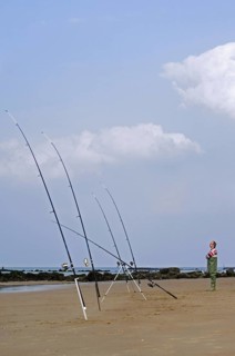 Sea angler with many fishing rods fishing from beach along the North Sea coast