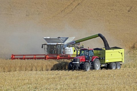 Combine harvester and tractor with trailer harvesting rapeseed field in summer