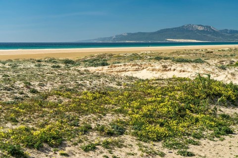 Playa de Los Lances beach in Tarifa