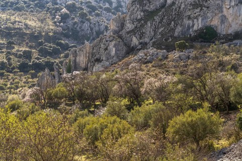Landscape along the hiking trail of the Rio Bailon near Zuheros
