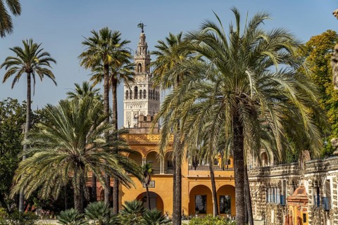 The Gardens of the Royal Palace Alcazar