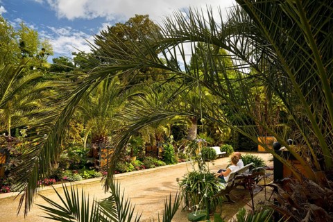 Palm Garden