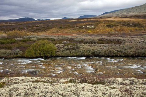 Store Ula River in the Rondane National Park