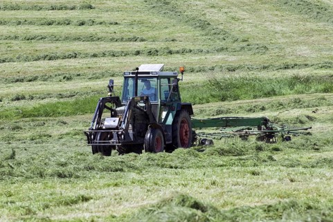 Tractor with circular rake raking cut grass for hay making on grassland