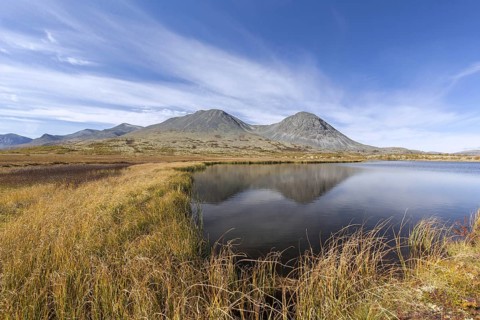 Bog and the Stygghoin