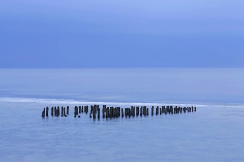 Remnant of old weathered wooden groyne