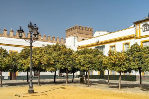 Patio de Banderas Square