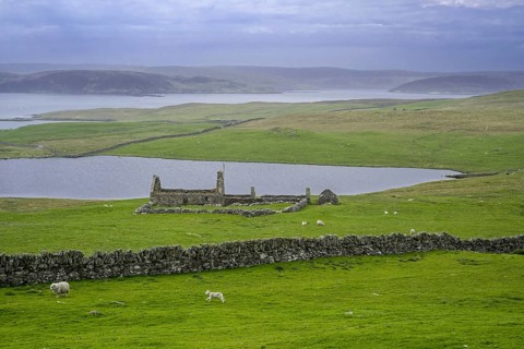 Remains of croft