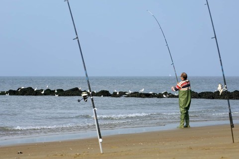Sea angler with many fishing rods fishing from beach along the North Sea coast