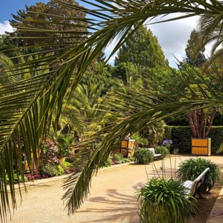 Palm Garden