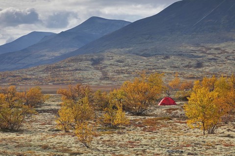 Red dome tent in the valley Doraldalen