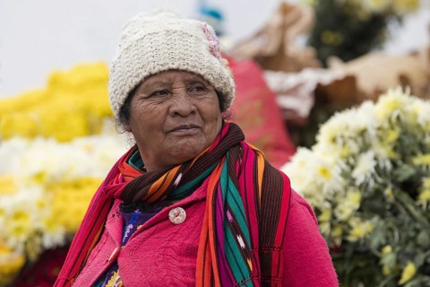Old local Mayan K'iche woman selling flowers on market day in the town Chichicastenango