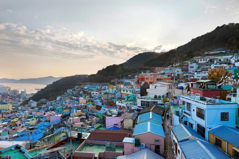 Colourful houses and bay