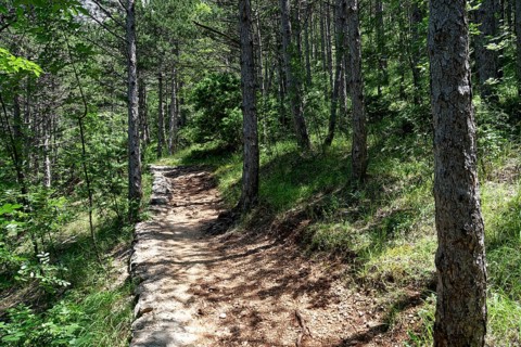 Natural hiking trail through the forest in Paklenica National Park in northern Dalmatia. Paklenica Starigrad